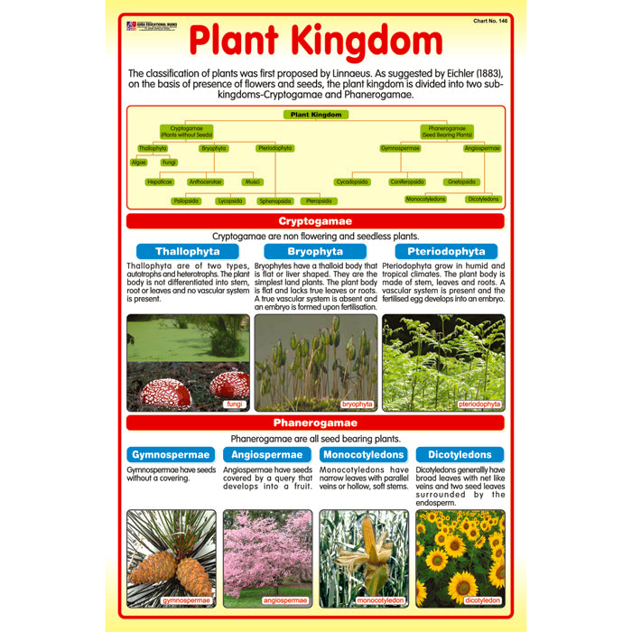 Chart No 146 (Plant Kingdom) gabaedu