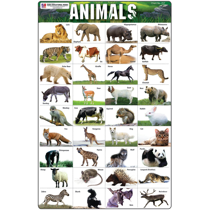 Chart No 257 (Animals) – gabaedu