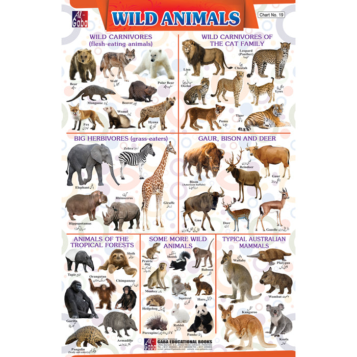Chart No 19 (Wild Animals) – gabaedu