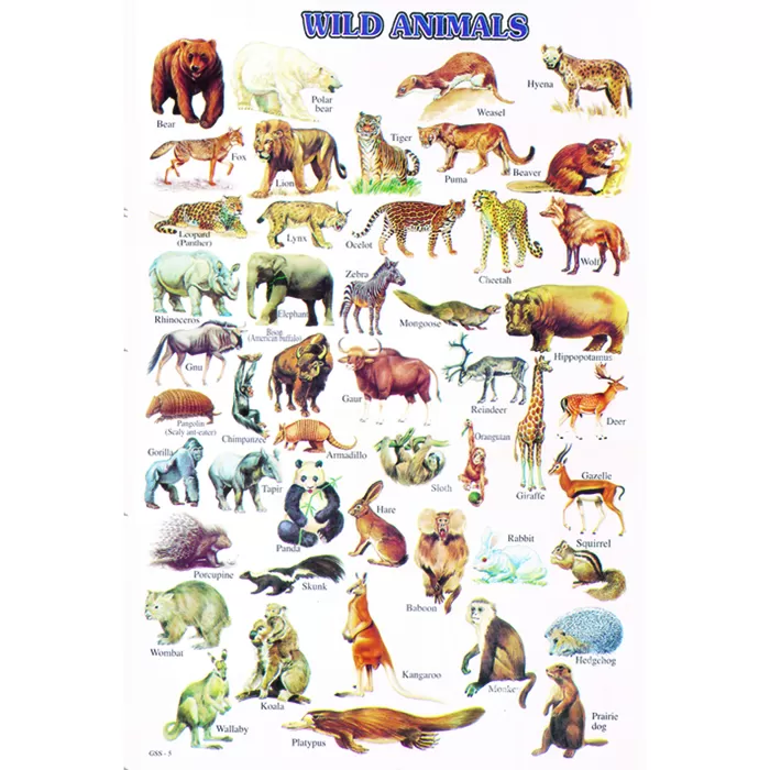 Sheet No 52 ( Wild Animals) – Gaba Books