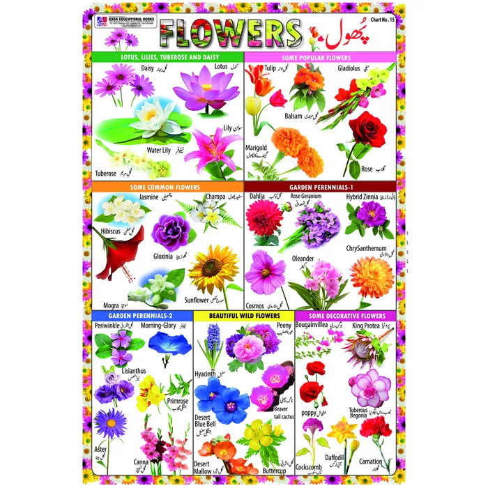 Chart No 15 ( Flower) – Gaba Books